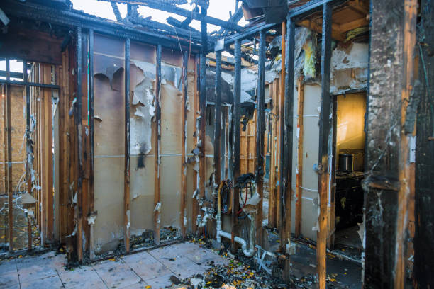 Professional Fire Damage Removal technician working in Silver Hill, MD